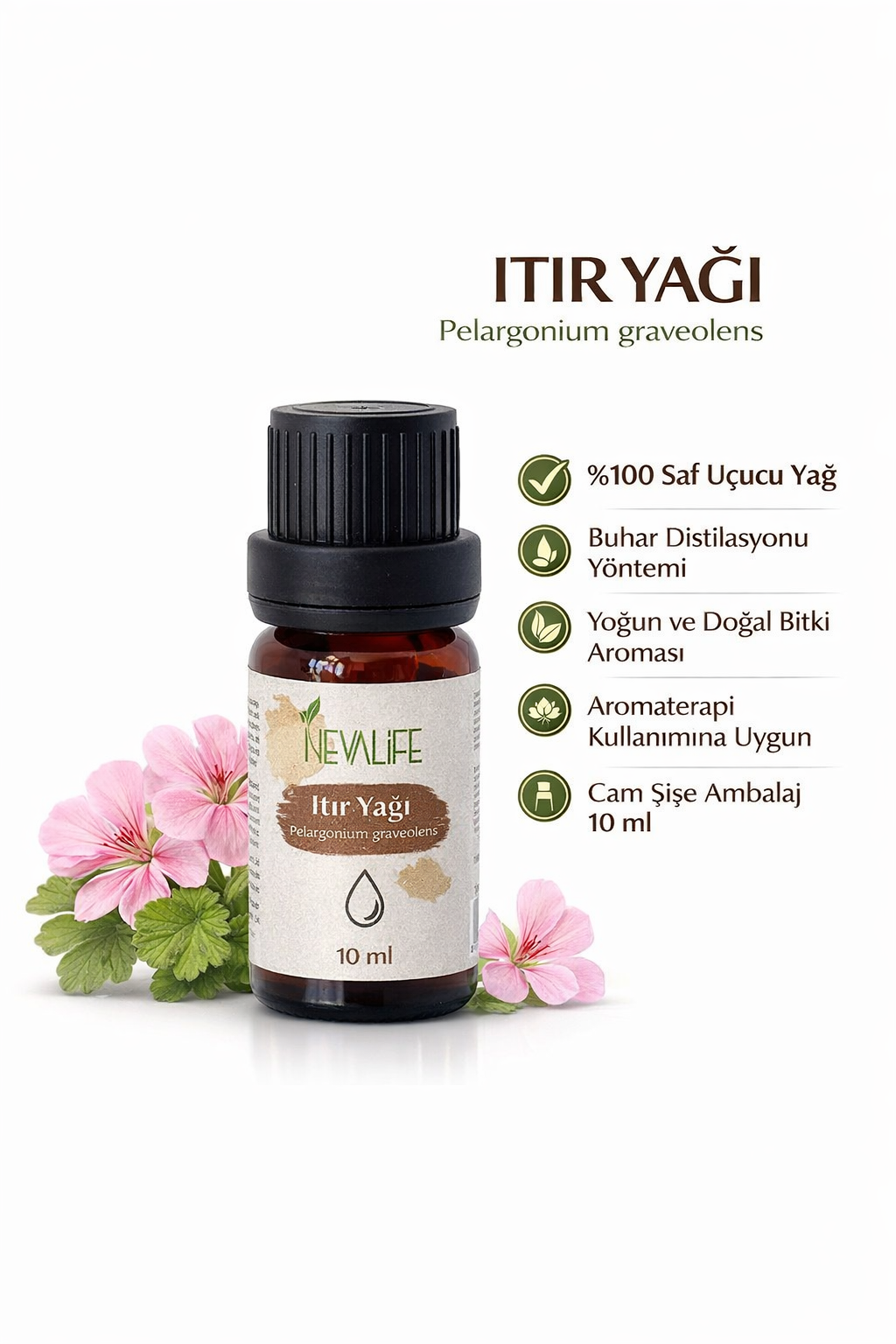 Geranium Oil (10 ML) | Pelargonium Oil