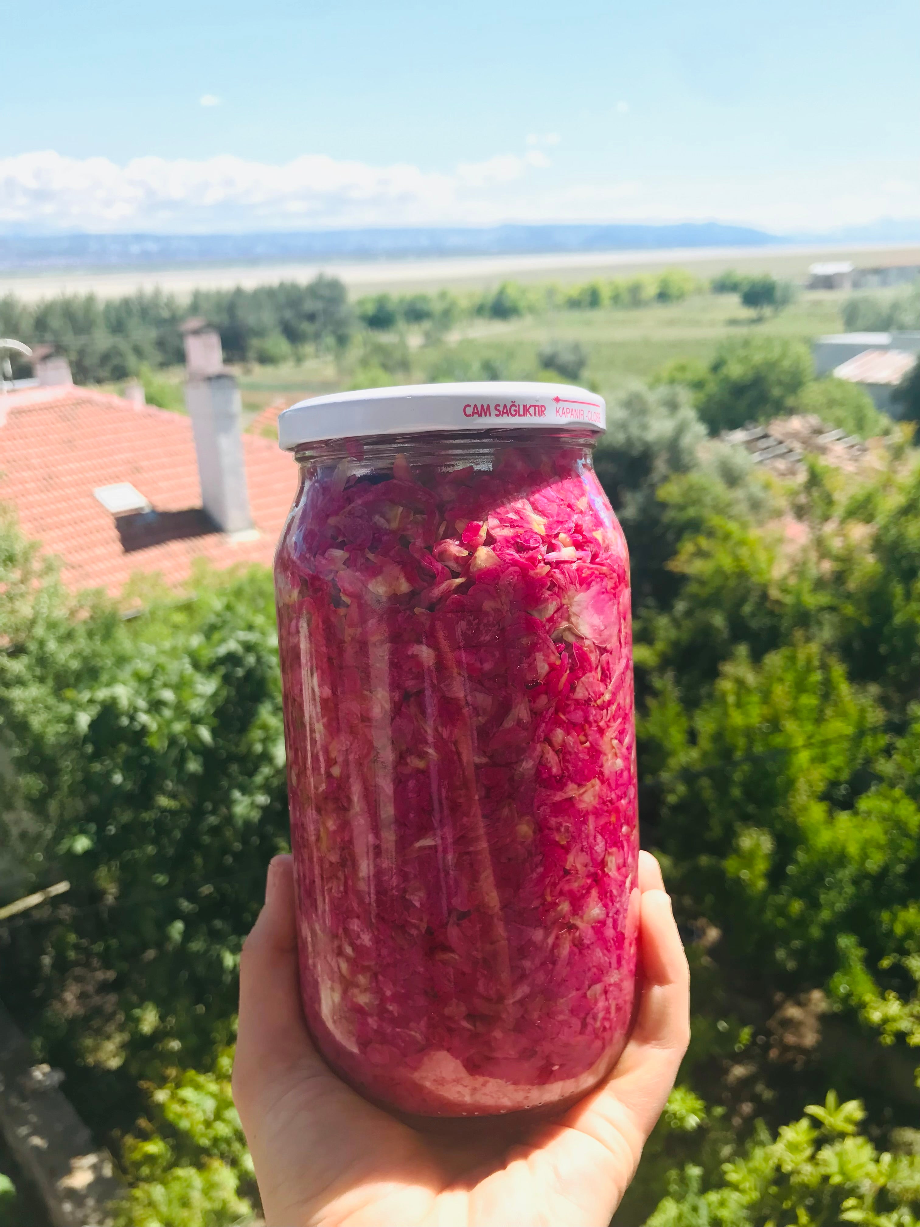 Gül mayası (reçellik )