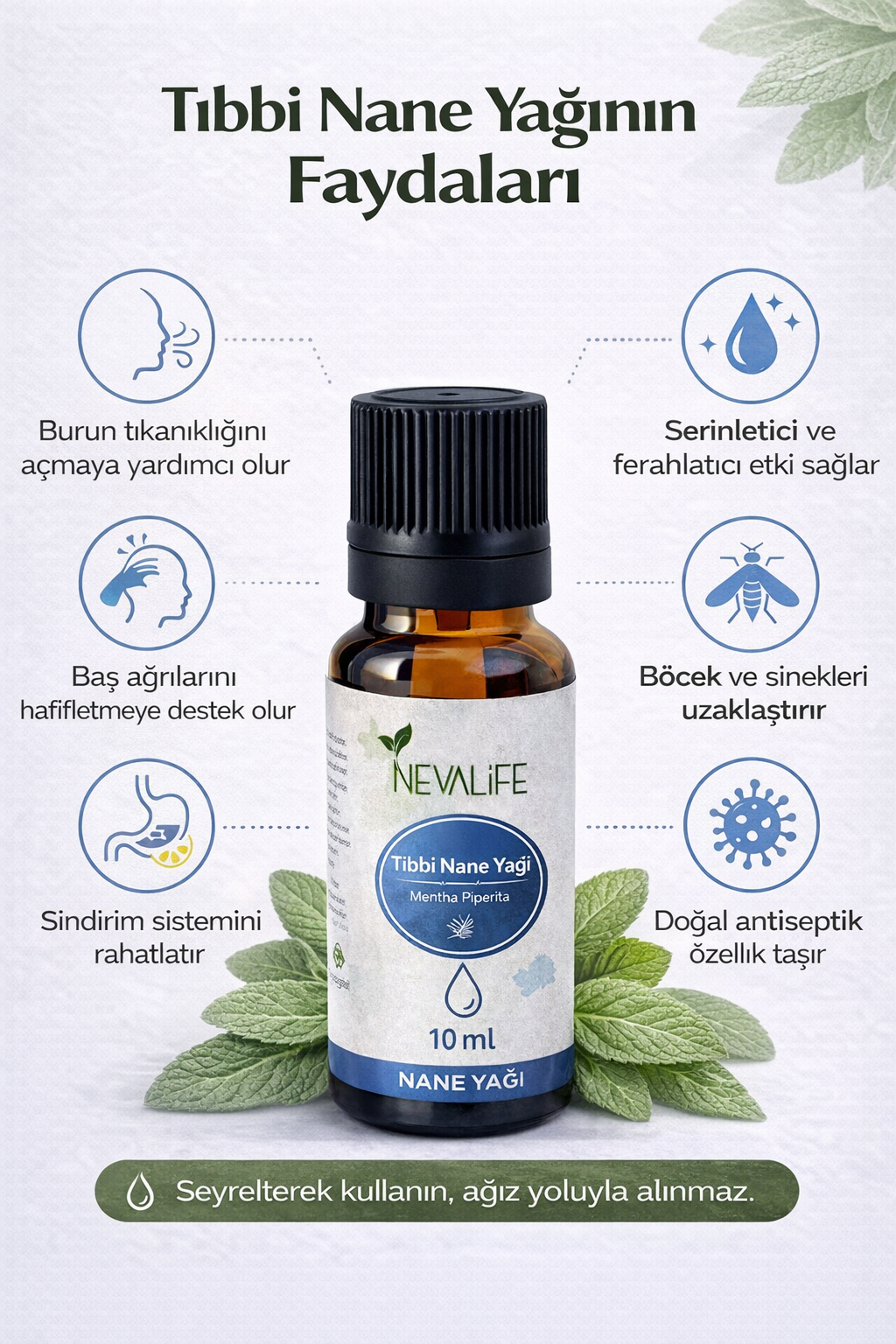 Nane Yağı ( 10 ML ) | Peppermint Oil