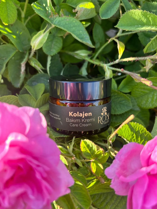 Yaşlanma Karşıtı Kolajen Bakım Kremi(50 ML) |  Collagen Cream