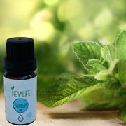 Nane Yağı ( 10 ML ) | Peppermint Oil
